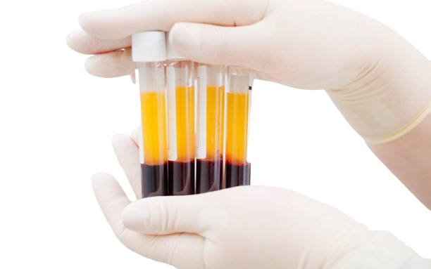 {{brizy_dc_image_alt imageSrc=