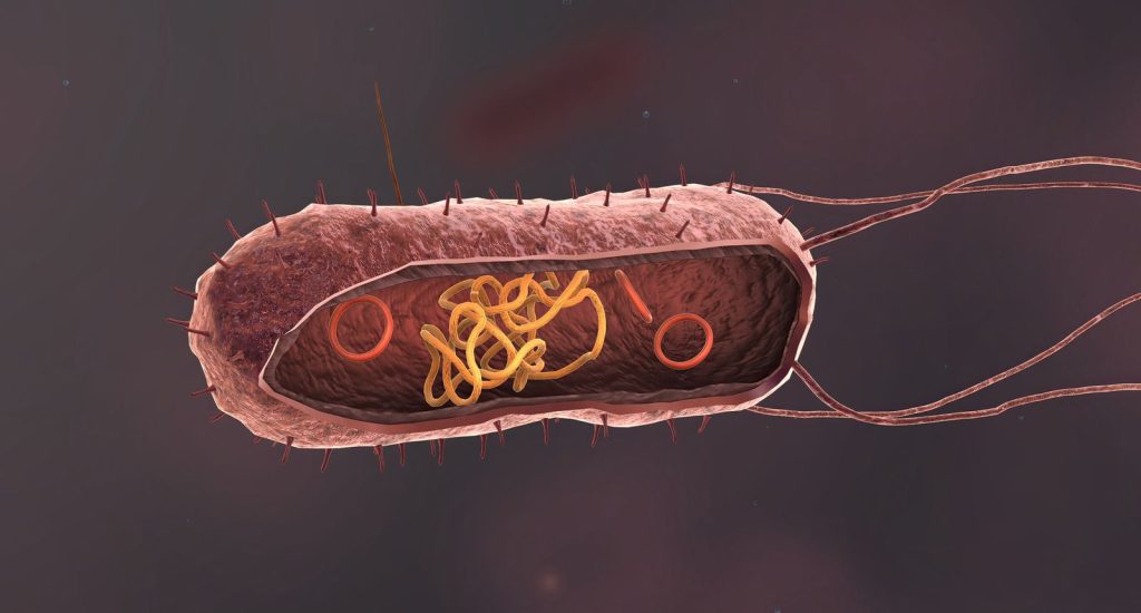 gonorrhoea treatment kl